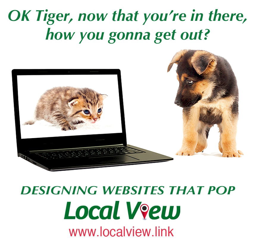 cat-and-dog-looking-at-computer-local-view-digital-marketing