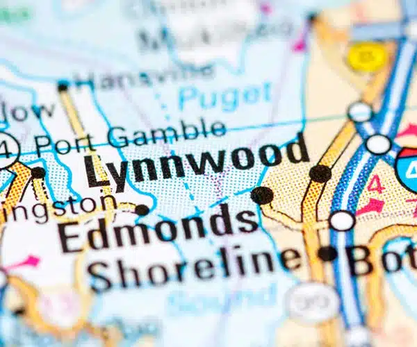 lynnwood-wa-map-local-view-digital-marketing